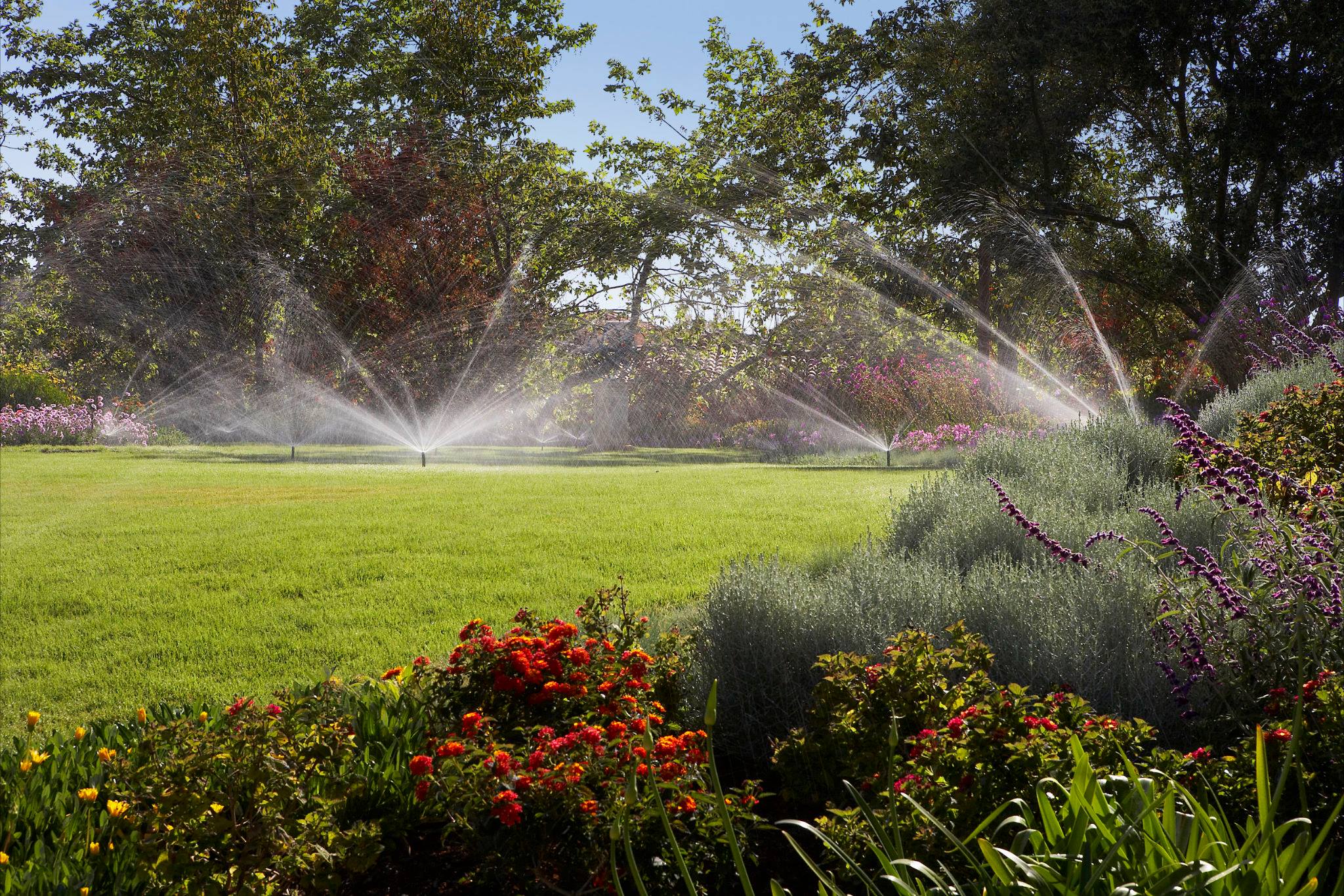Garden lawn with sprinklers watering colorful flowers