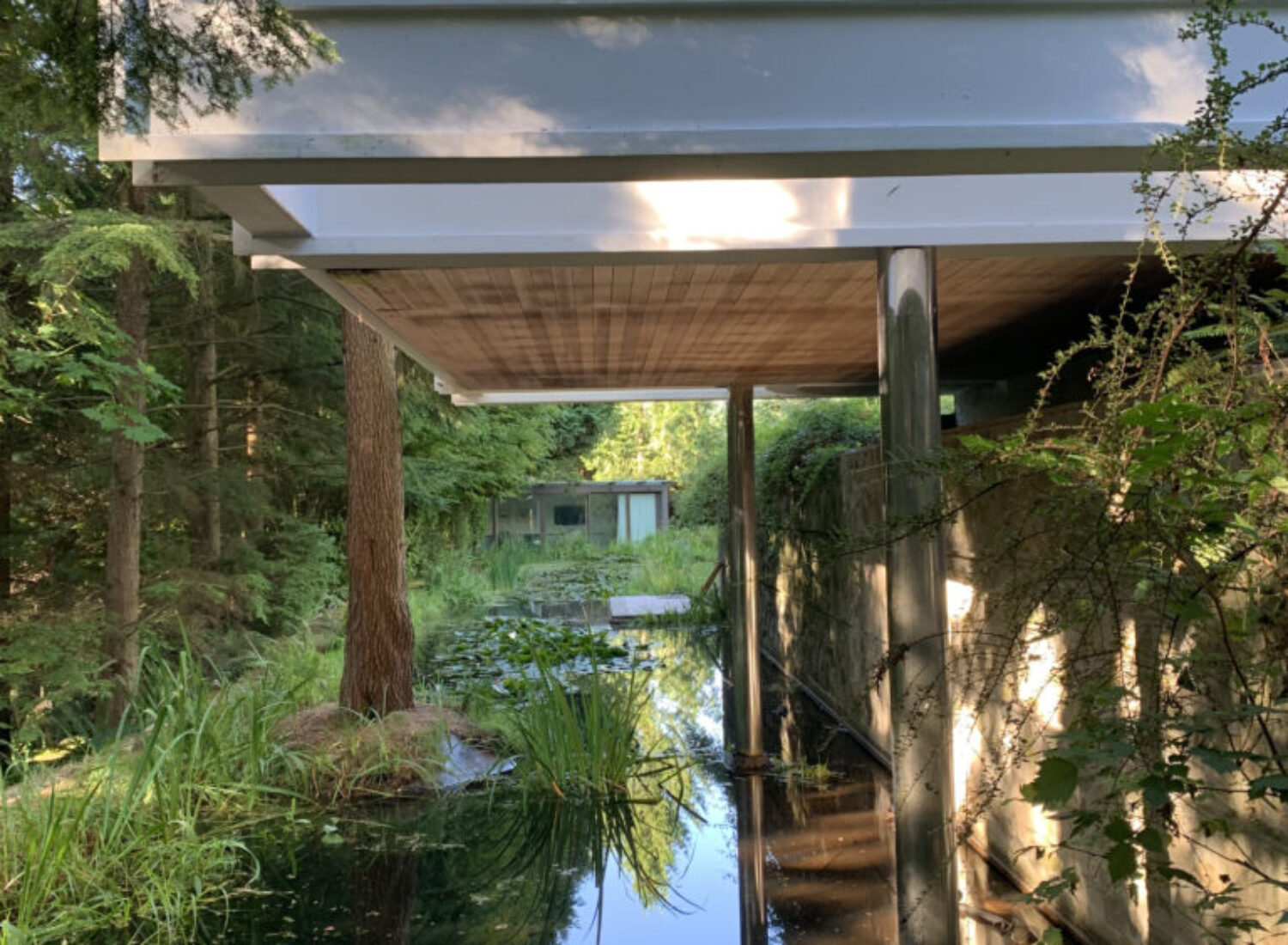Modern house elevated above forest pond