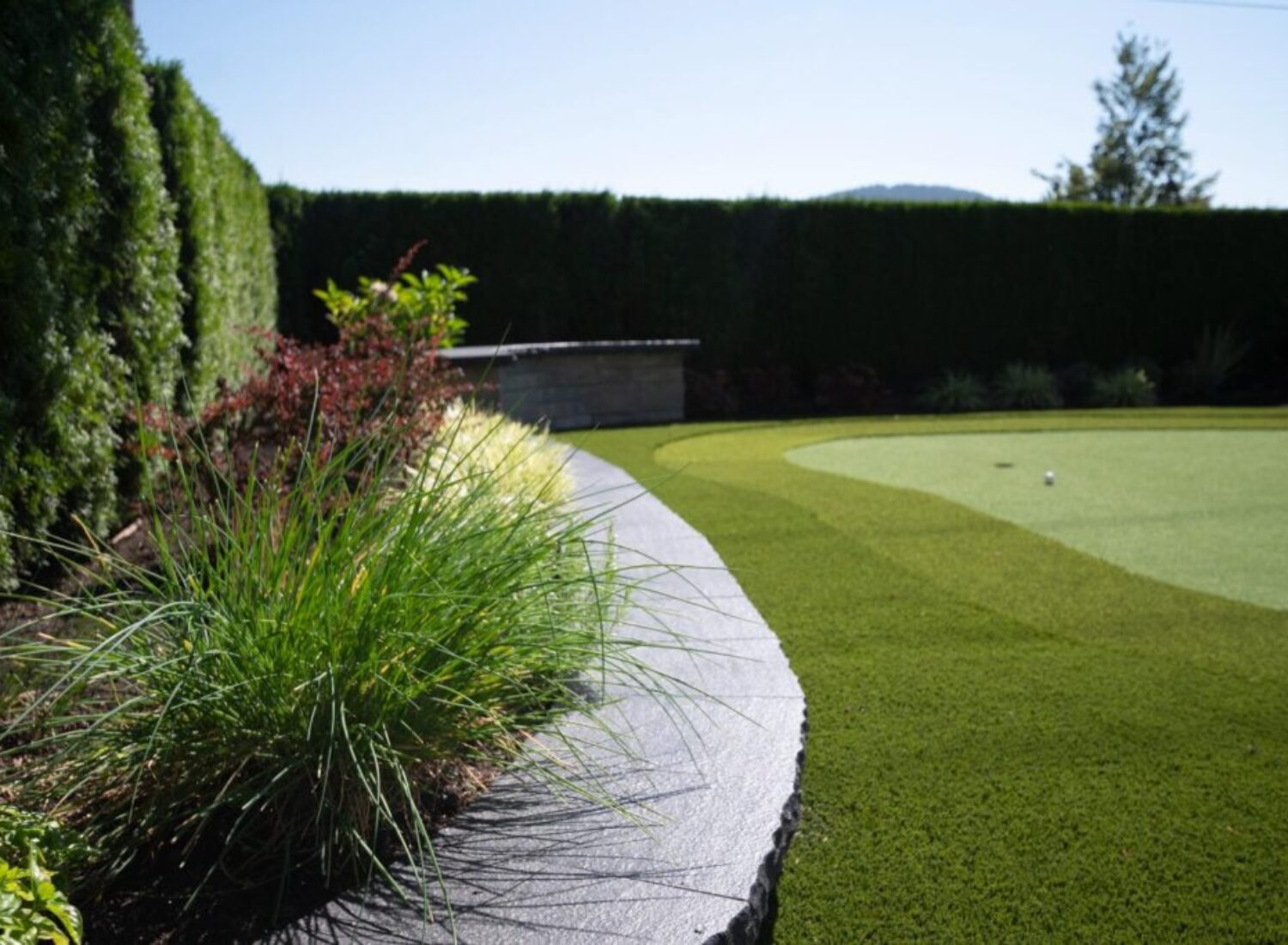 Backyard putting green with manicured hedges and plants