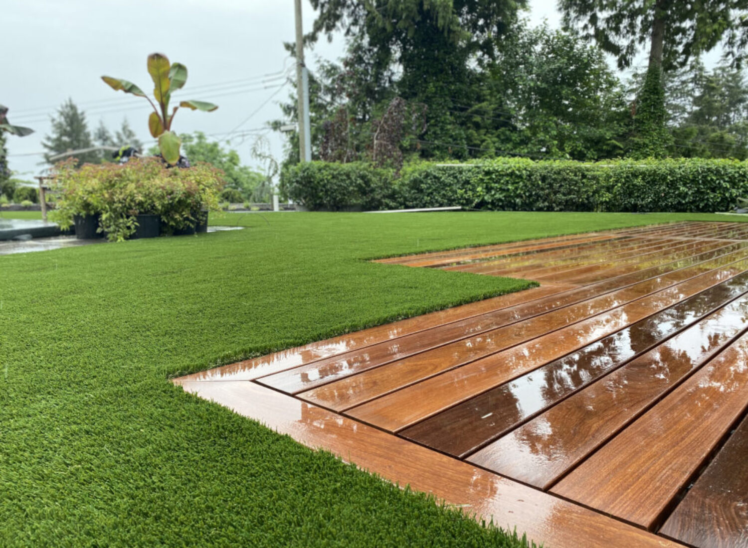Wet wooden deck beside artificial grass lawn