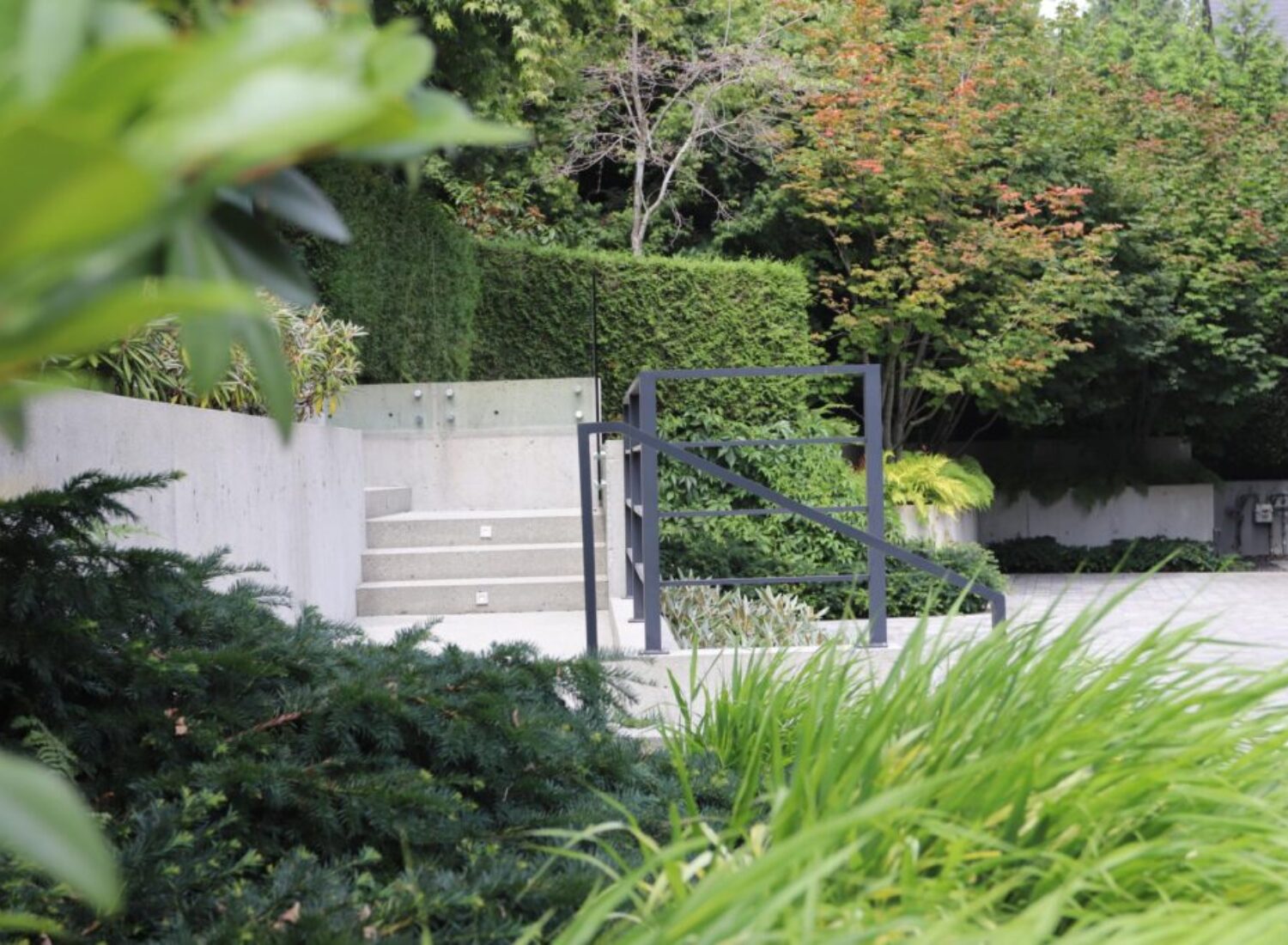 Modern garden with concrete steps and lush greenery