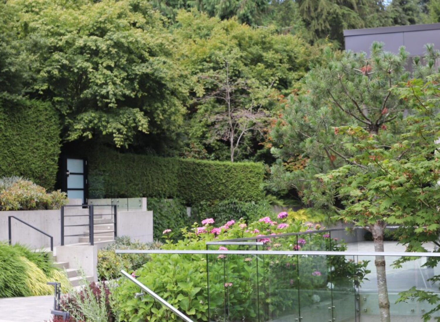 Modern landscaped garden with glass railing and lush greenery