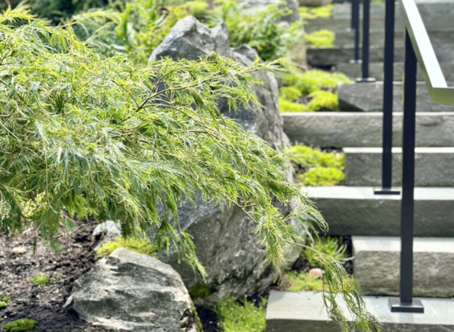 Stone steps with black railing in lush garden