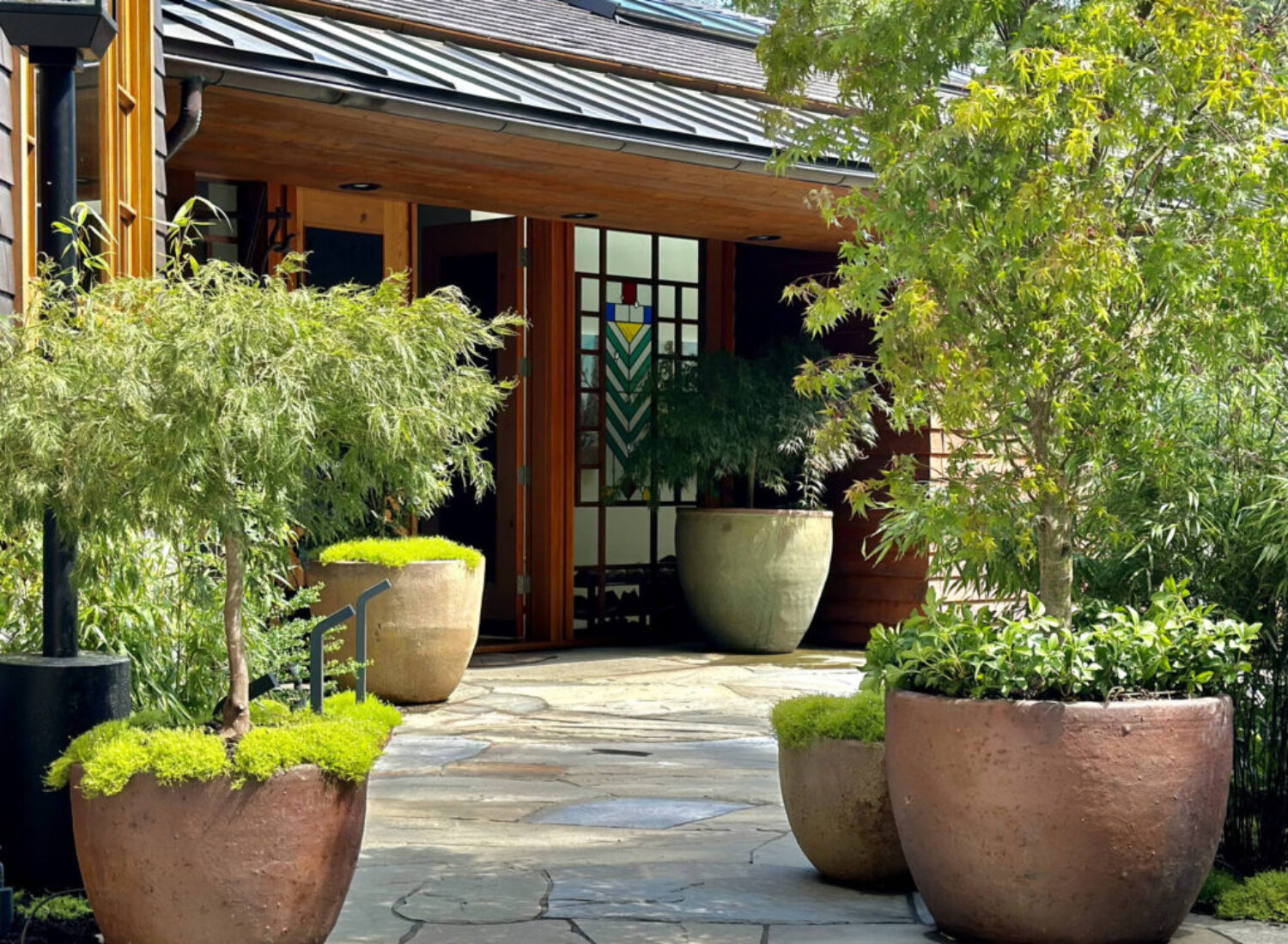 Modern home entrance with large potted plants