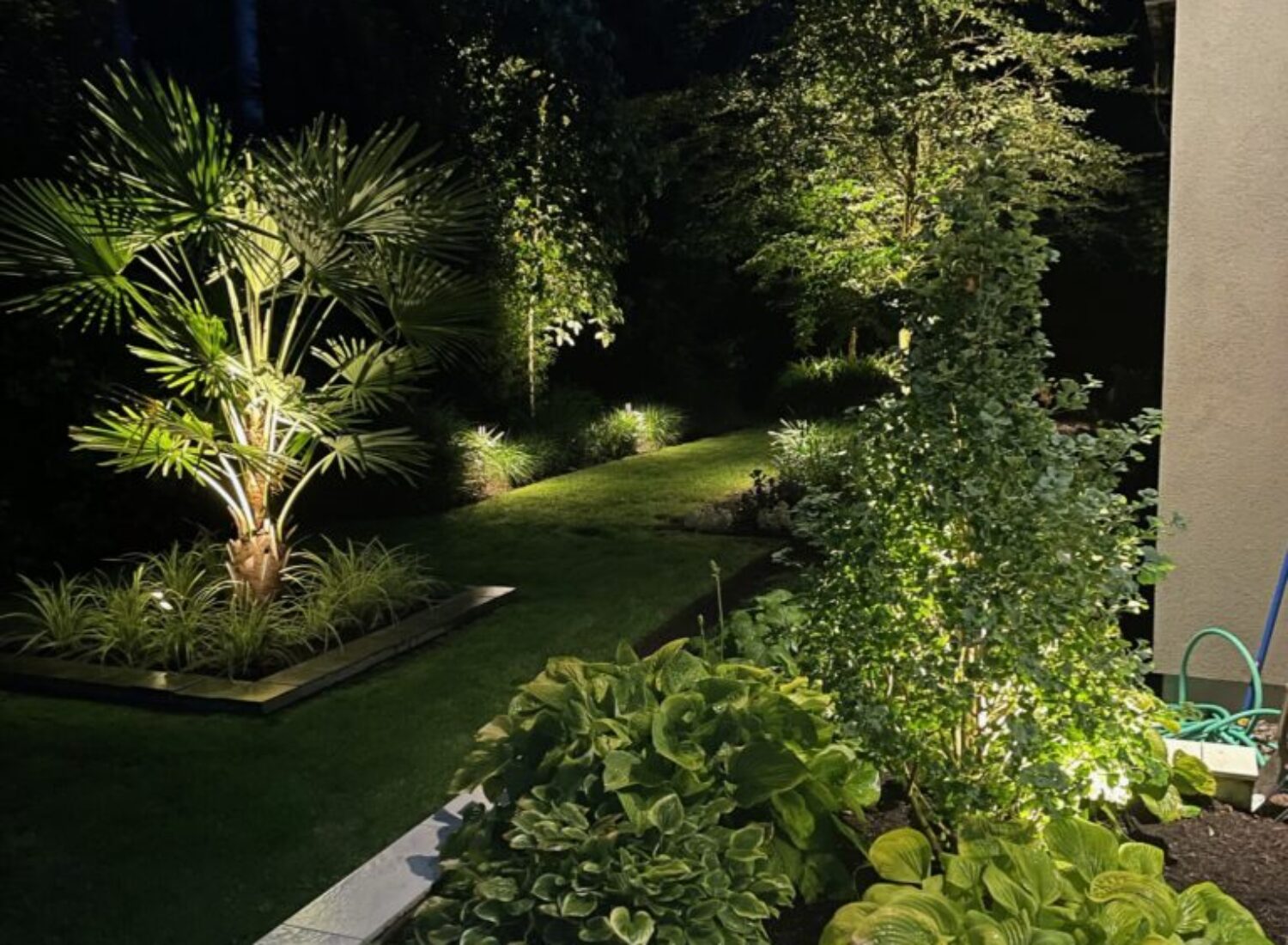 Illuminated backyard garden with palm tree at night