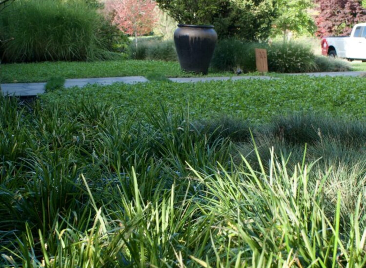 Lush landscaped garden with ornamental grasses and large planter